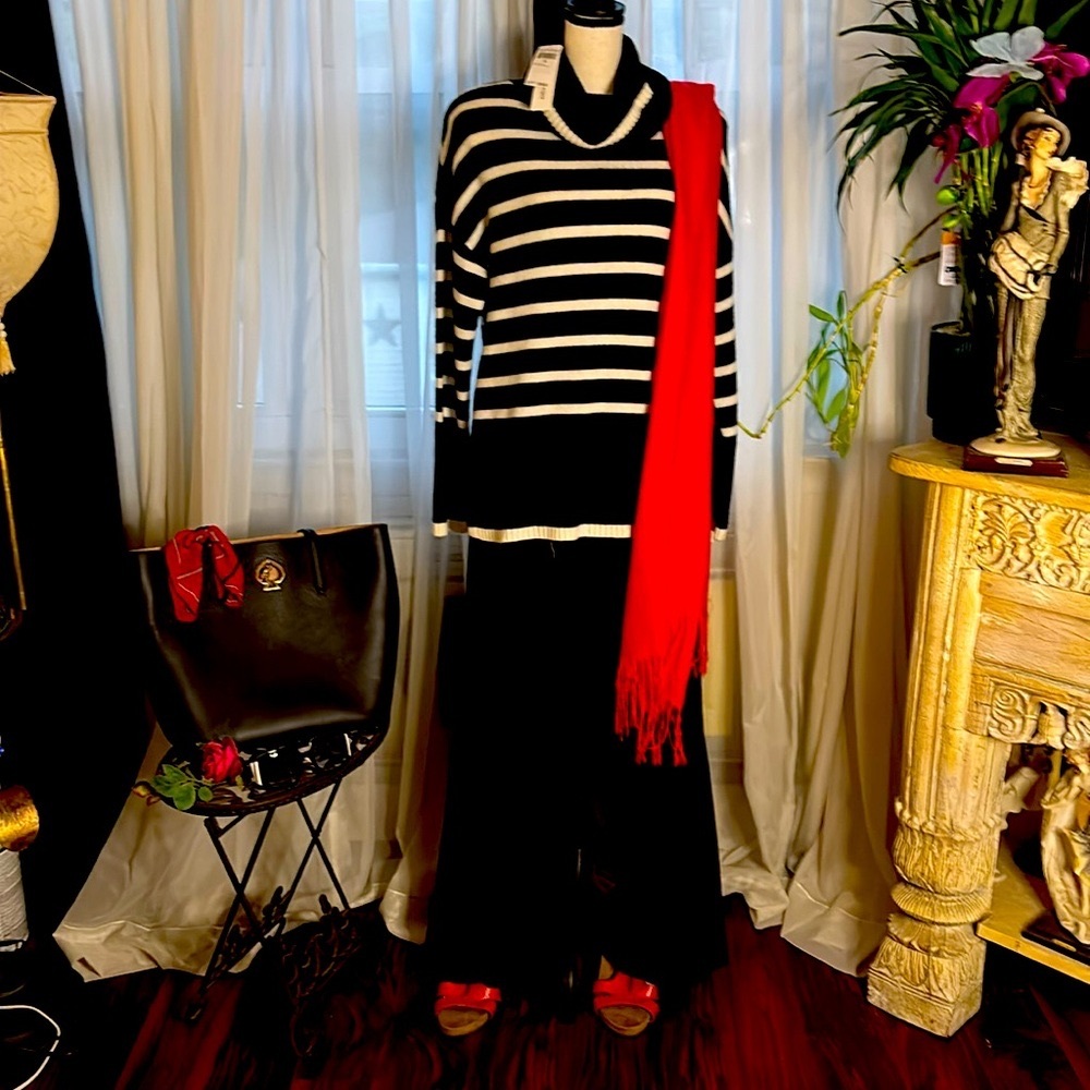 Elegant Black and White Striped Turtleneck Sweater from The Project Cashmere